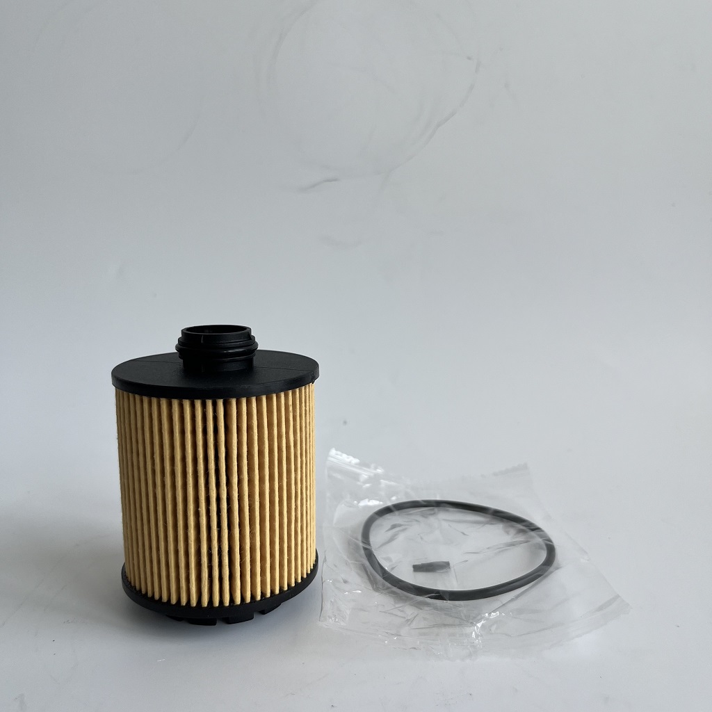 HU7043Z 1612565980 Filtru de ulei pentru Petgeot
